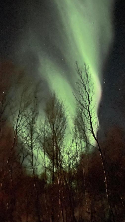 Вилла Stor Hytte I Olderfjord Russenes Экстерьер фото